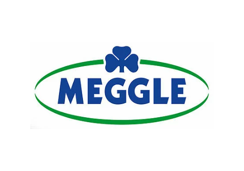 Logo Meggle
